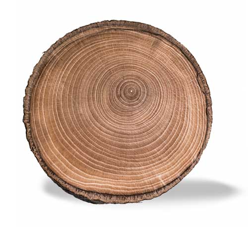 Massivholzbett Nussbaum