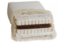 BIOFuton DW 5.0