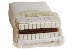 BIOFuton DW 5.0